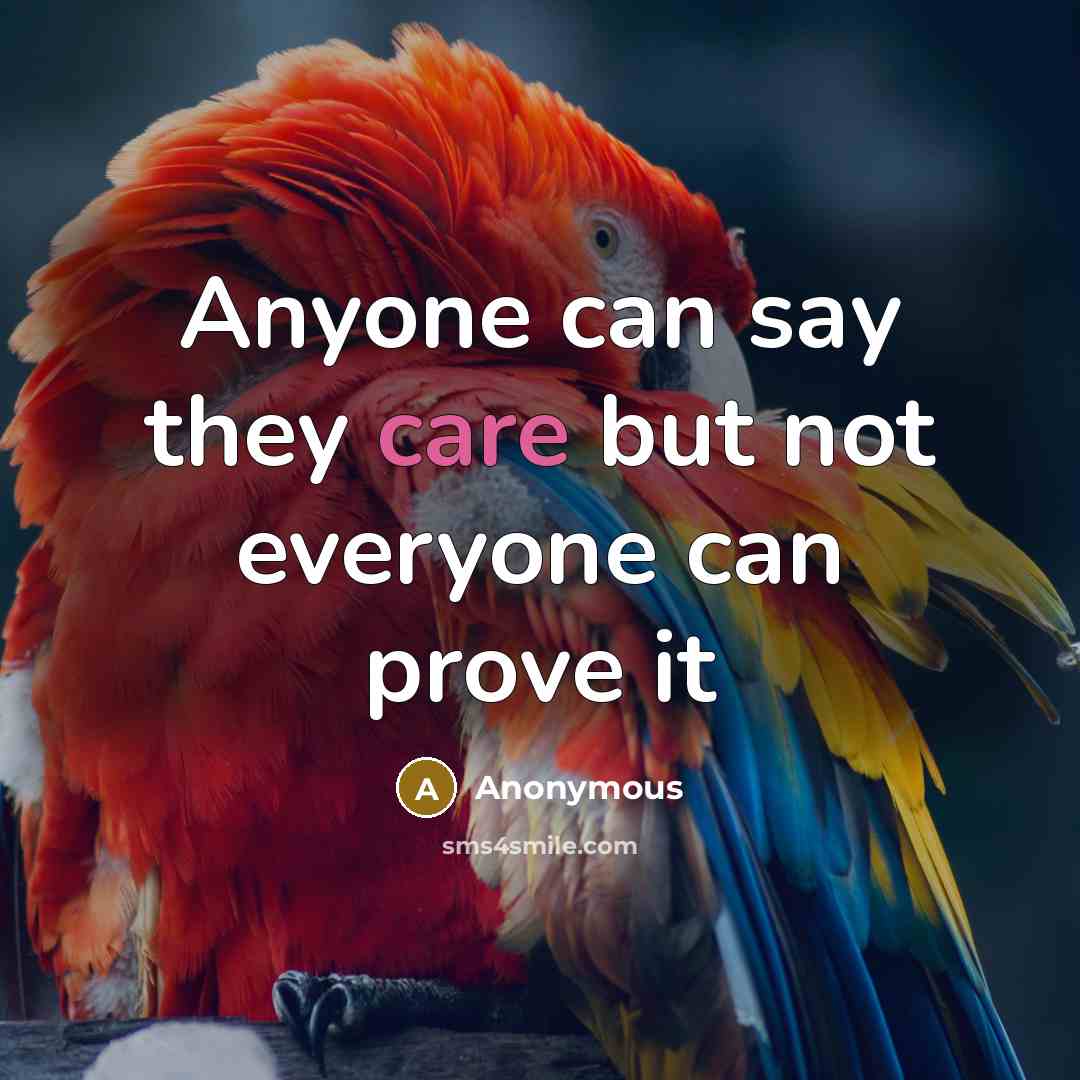 “Anyone can say they care but not everyone can prove it” quote by Anonymous