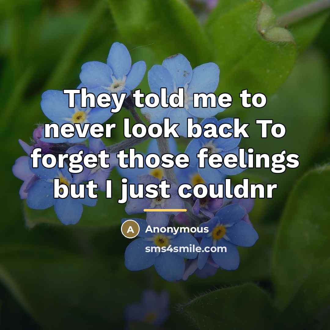 “They told me to never look back To forget those…” quote by Anonymous