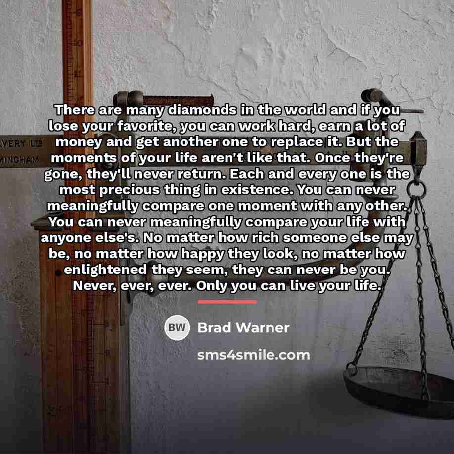 “There are many diamonds in the world and if you…” quote by Brad Warner