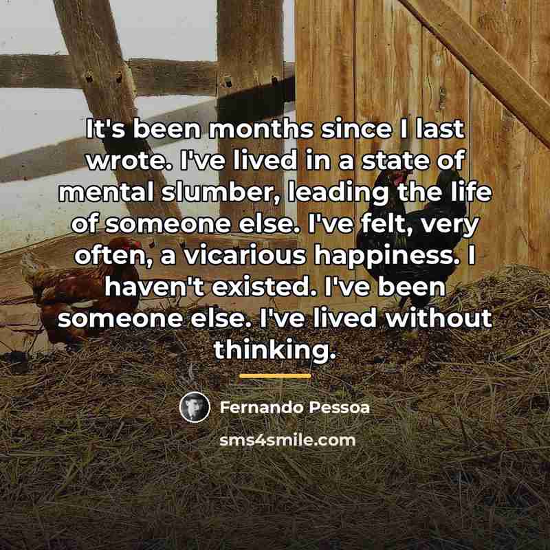 “It's been months since I last wrote. I've lived in…” quote by Fernando Pessoa
