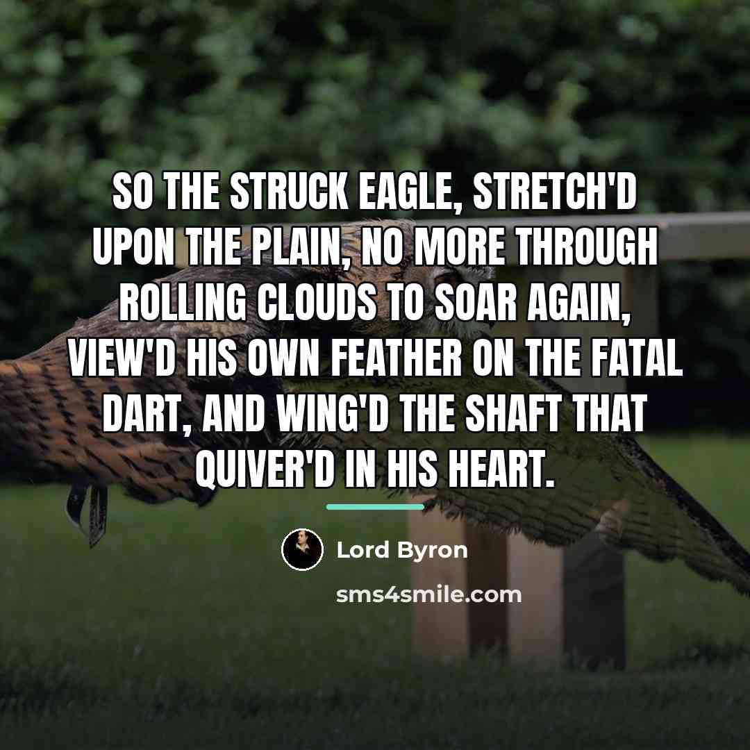 “So the struck eagle, stretch'd upon the plain, No more…” quote by Lord Byron