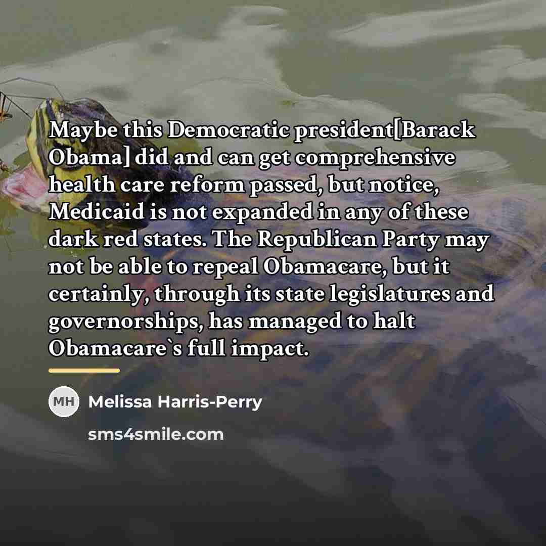 “Maybe this Democratic president[Barack Obama] did and can get comprehensive…” quote by Melissa Harris-Perry