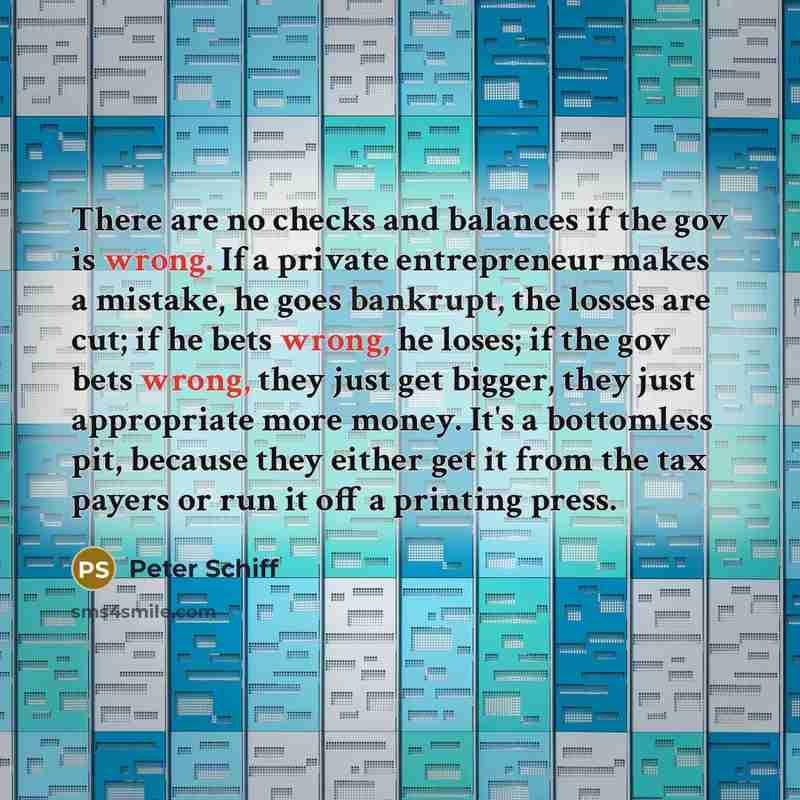 “There are no checks and balances if the gov is…” quote by Peter Schiff