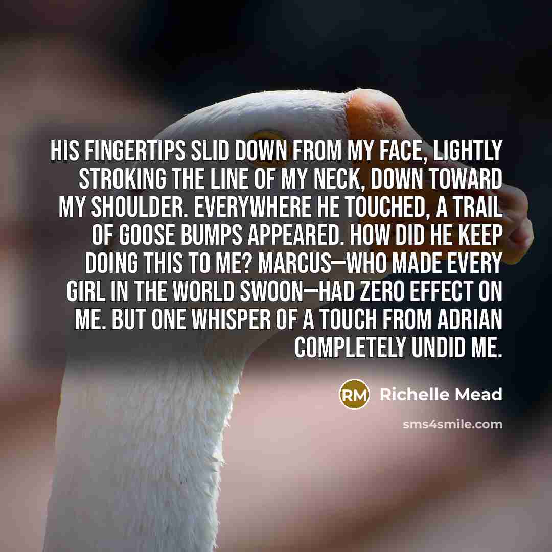 “His fingertips slid down from my face, lightly stroking the…” quote by Richelle Mead