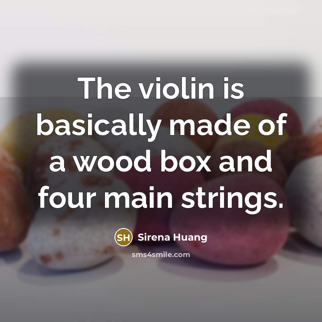 “The violin is basically made of a wood box and…” quote by Sirena Huang