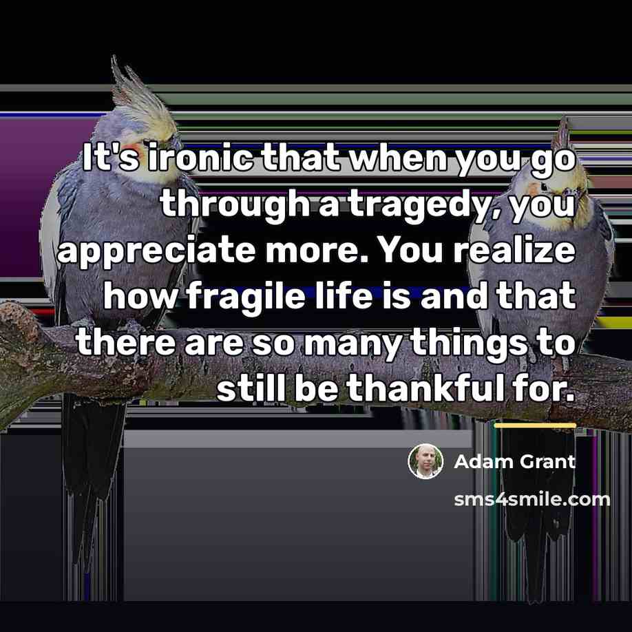 “It's ironic that when you go through a tragedy, you…” quote by Adam Grant