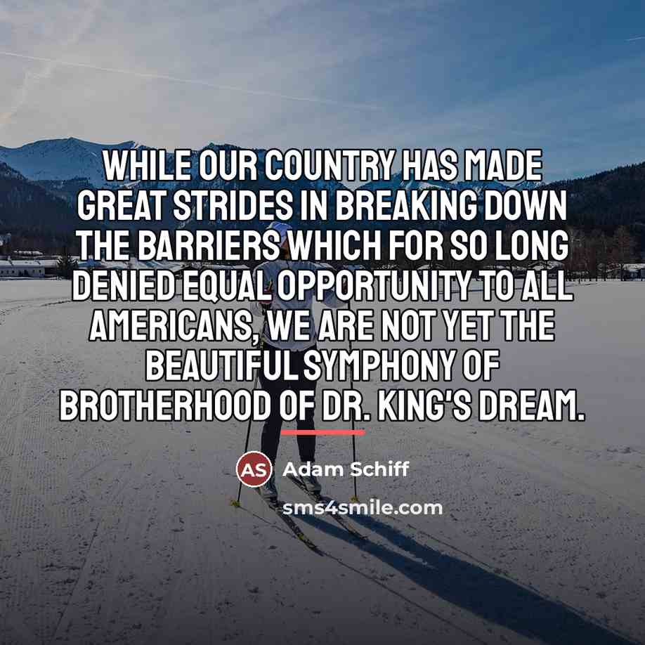 “While our country has made great strides in breaking down…” quote by Adam Schiff