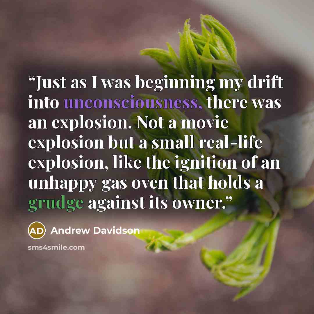 “Just as I was beginning my drift into unconsciousness, there was an explosion. Not a movie explosion but a small real-life explosion, like the ignition of an unhappy gas oven that holds a grudge against its owner.” quote by Andrew Davidson