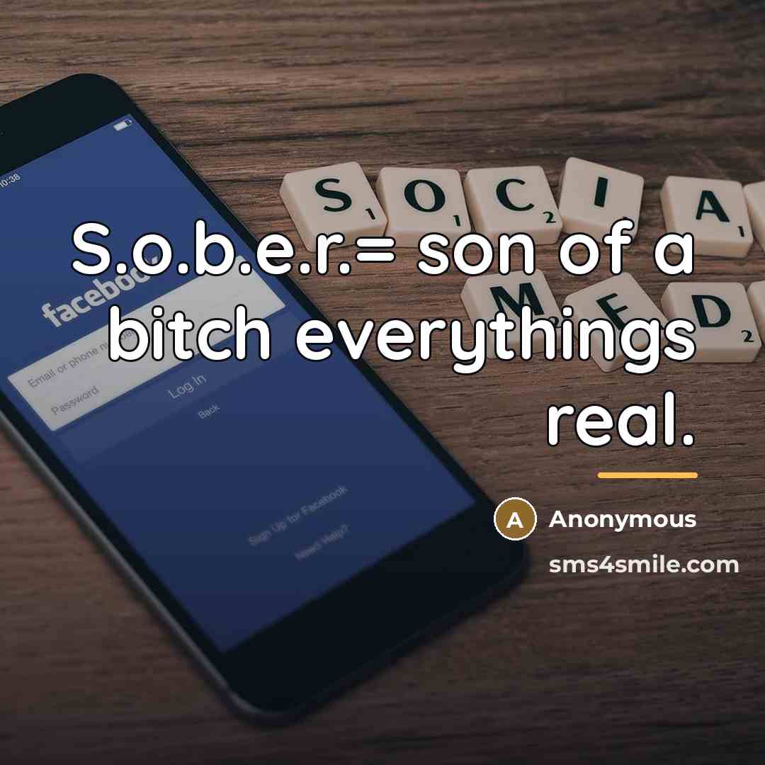 “S.o.b.e.r.= son of a bitch everythings real.…” quote by Anonymous