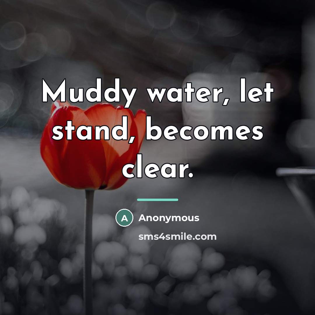 “Muddy water, let stand, becomes clear.…” quote by Anonymous