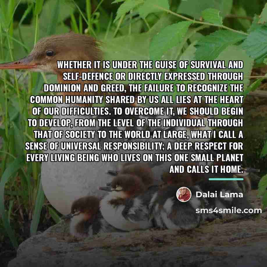 “Whether it is under the guise of survival and self-defence…” quote by Dalai Lama
