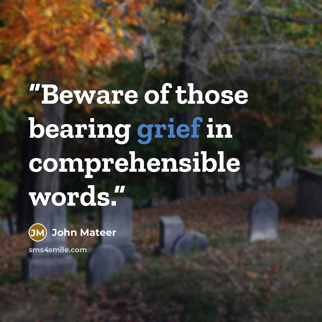 “Beware of those bearing grief in comprehensible words.” quote by John Mateer