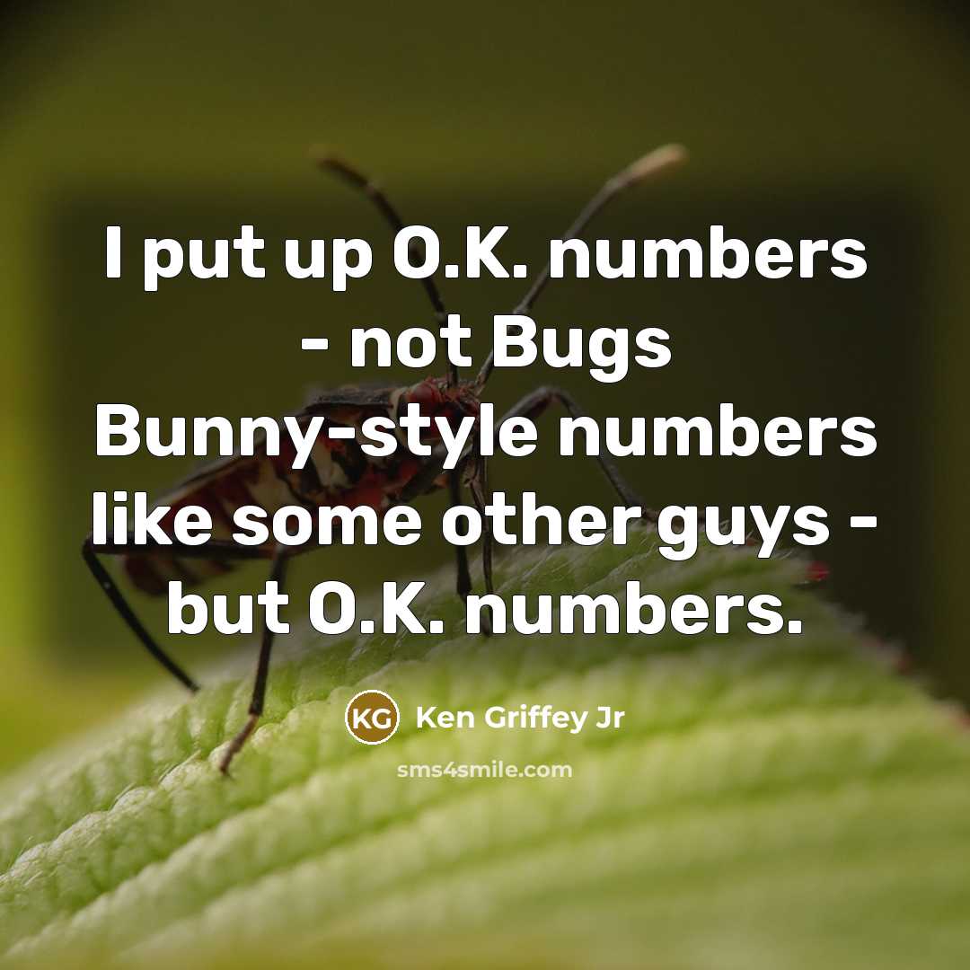 “I put up O.K. numbers - not Bugs Bunny-style numbers…” quote by Ken Griffey Jr