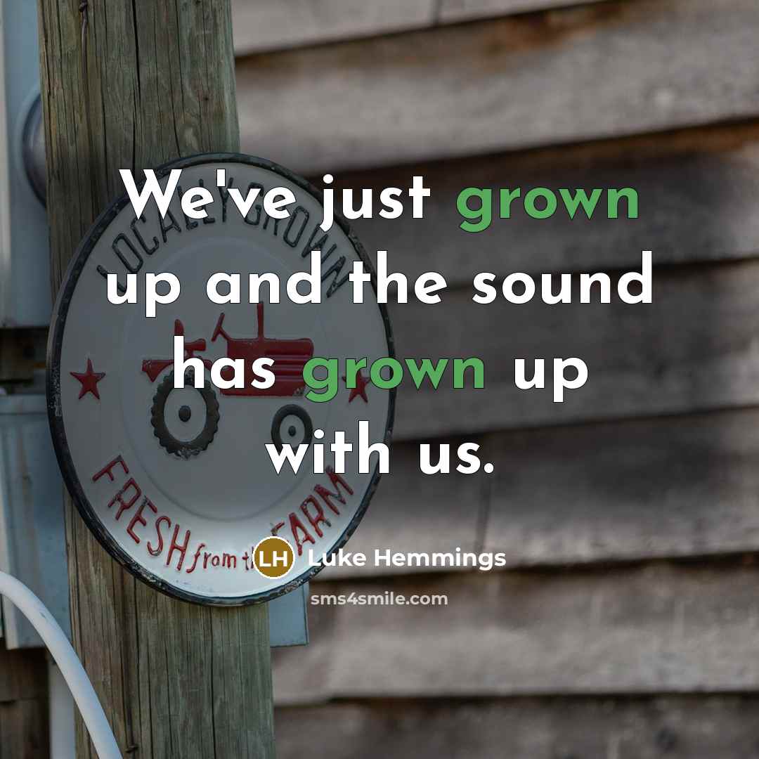 “We've just grown up and the sound has grown up…” quote by Luke Hemmings
