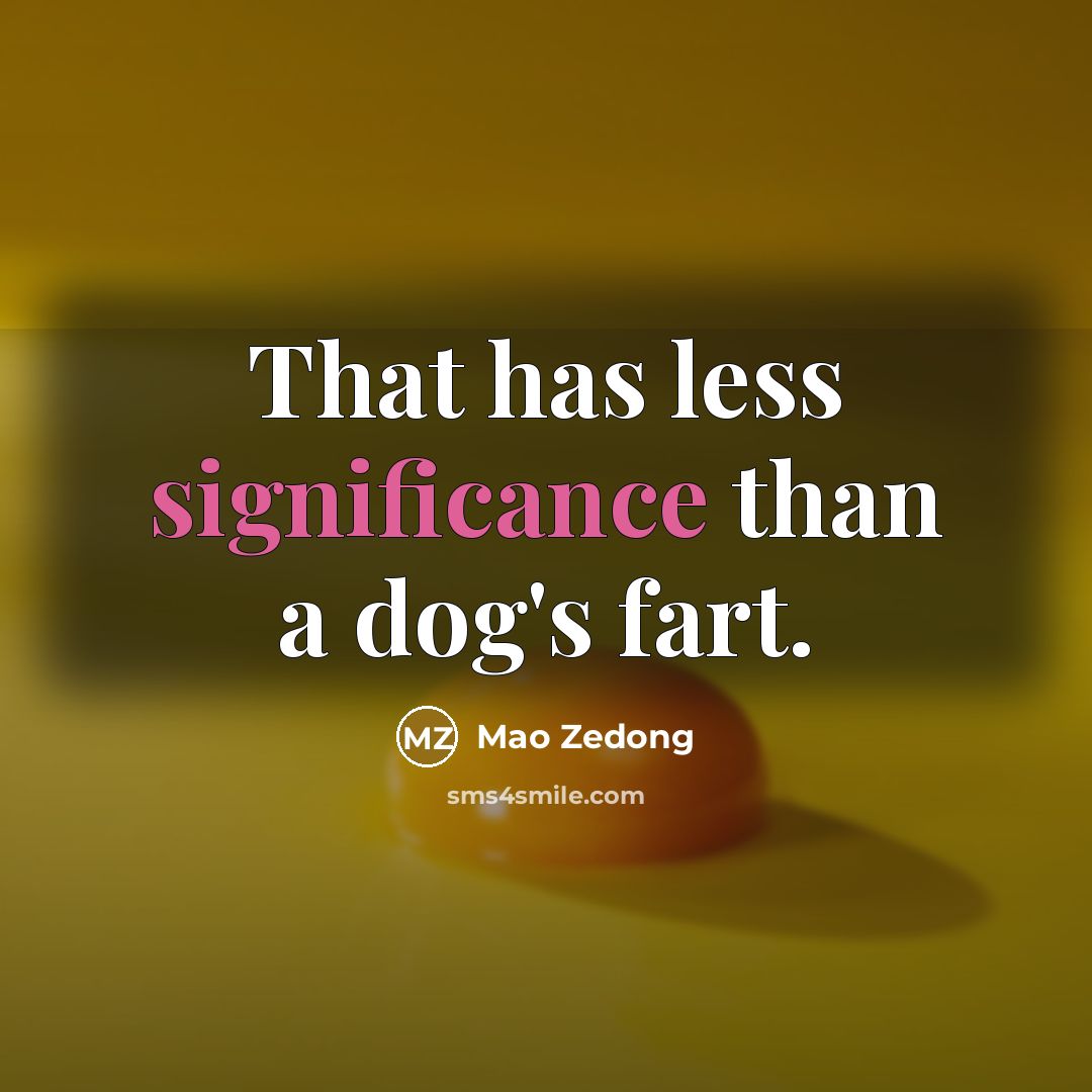 “That has less significance than a dog's fart.…” quote by Mao Zedong