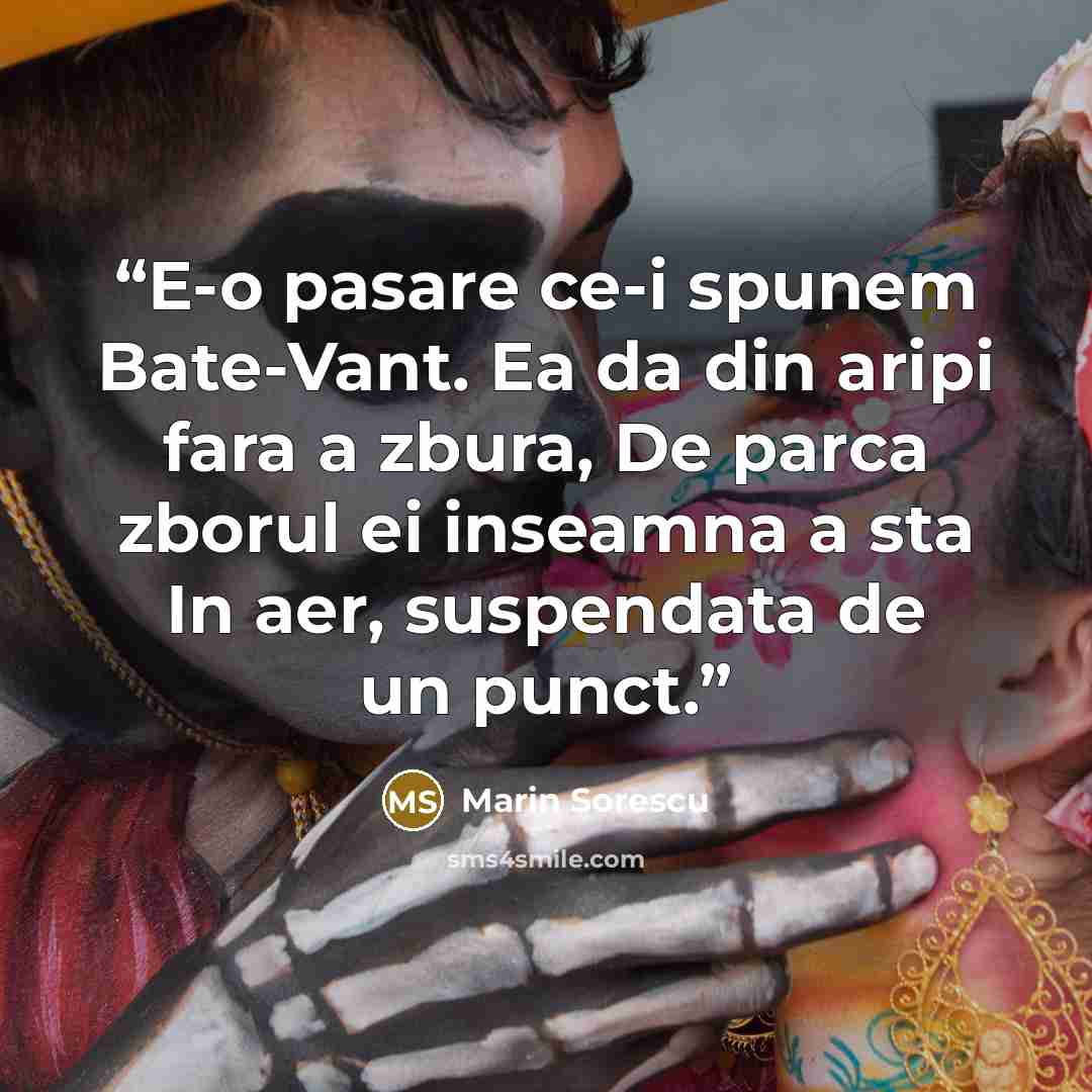 “E-o pasare ce-i spunem Bate-Vant. Ea da din aripi fara a zbura, De parca zborul ei inseamna a sta In aer, suspendata de un punct.” quote by Marin Sorescu