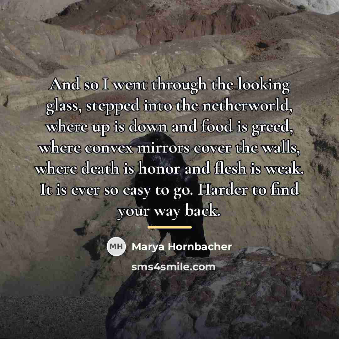 “And so I went through the looking glass, stepped into…” quote by Marya Hornbacher