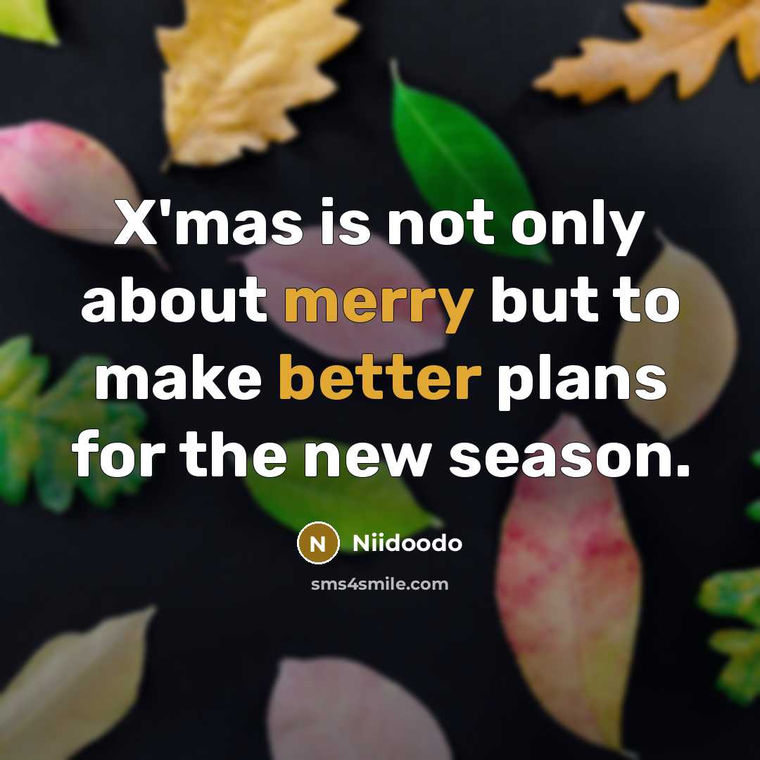 “X'mas is not only about merry but to make better plans for the new season.” quote by Niidoodo