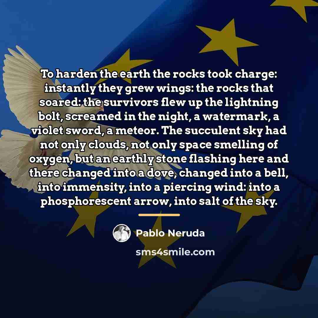 “To harden the earth the rocks took charge: instantly they…” quote by Pablo Neruda