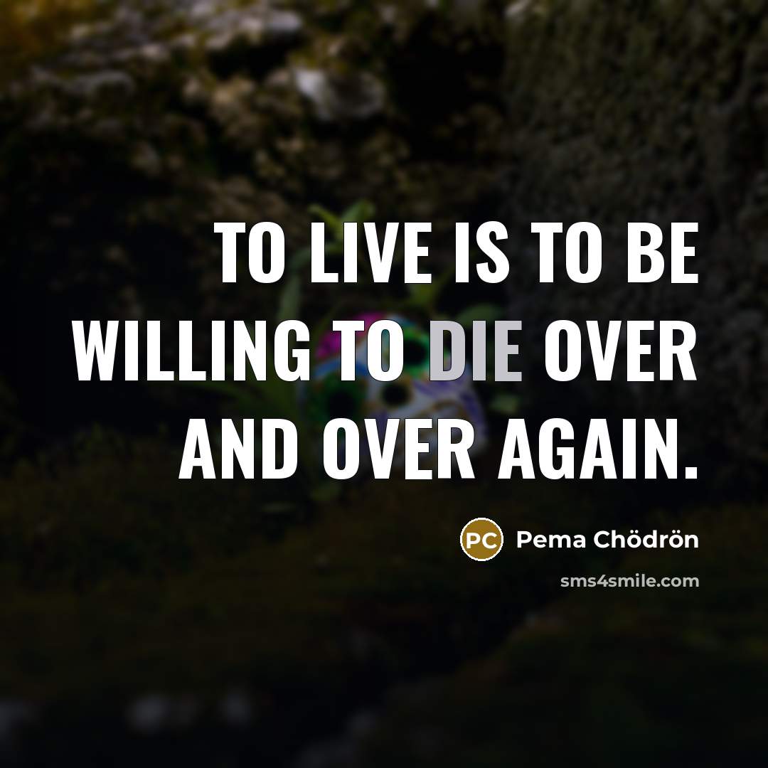“To live is to be willing to die over and over again.” quote by Pema Chodron