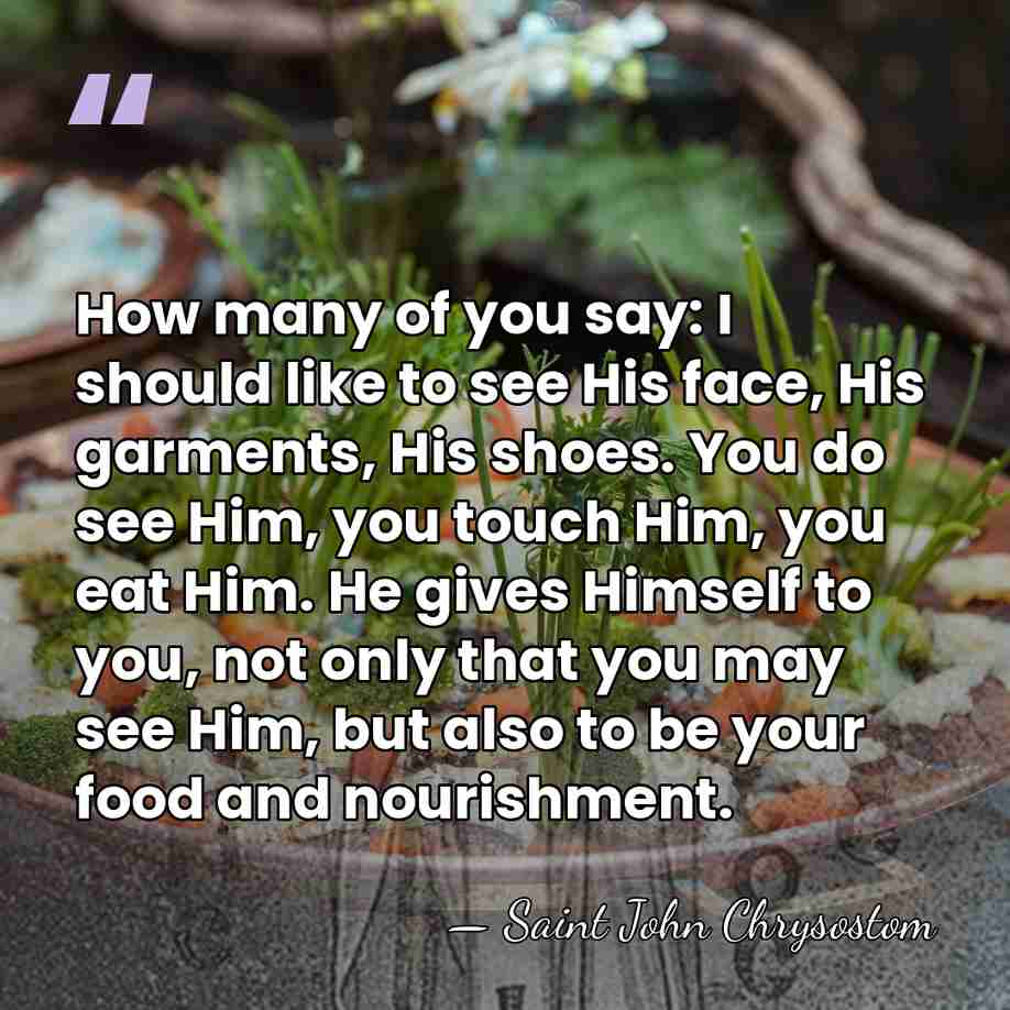 How many of you say: I should like to see His face,&hellip; - Saint John Chrysostom