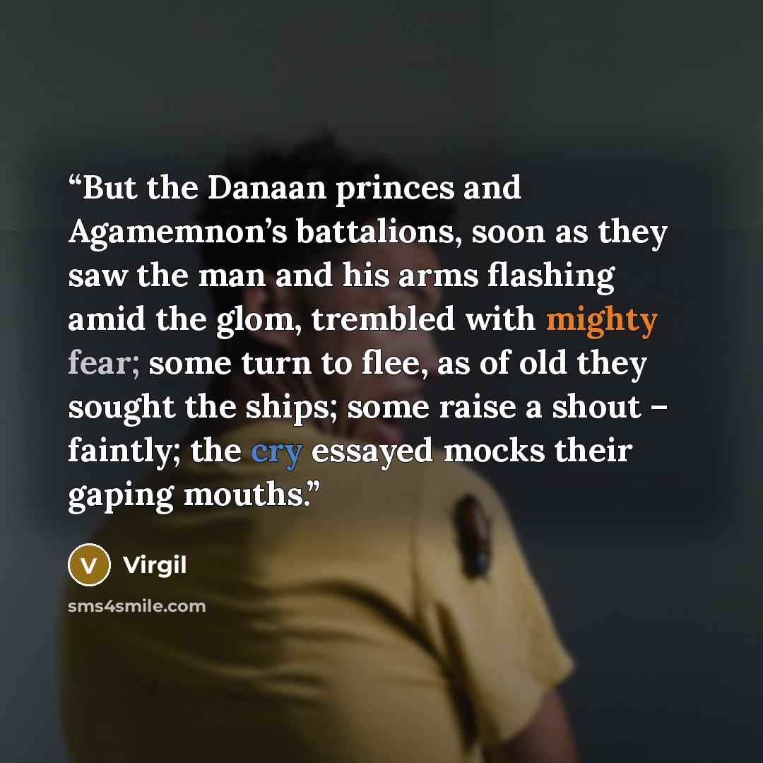 “But the Danaan princes and Agamemnon’s battalions, soon as they saw the man and his arms flashing amid the glom, trembled with mighty fear; some turn to flee, as of old they sought the ships; some raise a shout – faintly; the cry essayed mocks their gaping mouths.” quote by Virgil