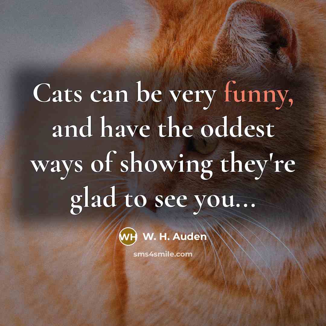 “Cats can be very funny, and have the oddest ways…” quote by W. H. Auden