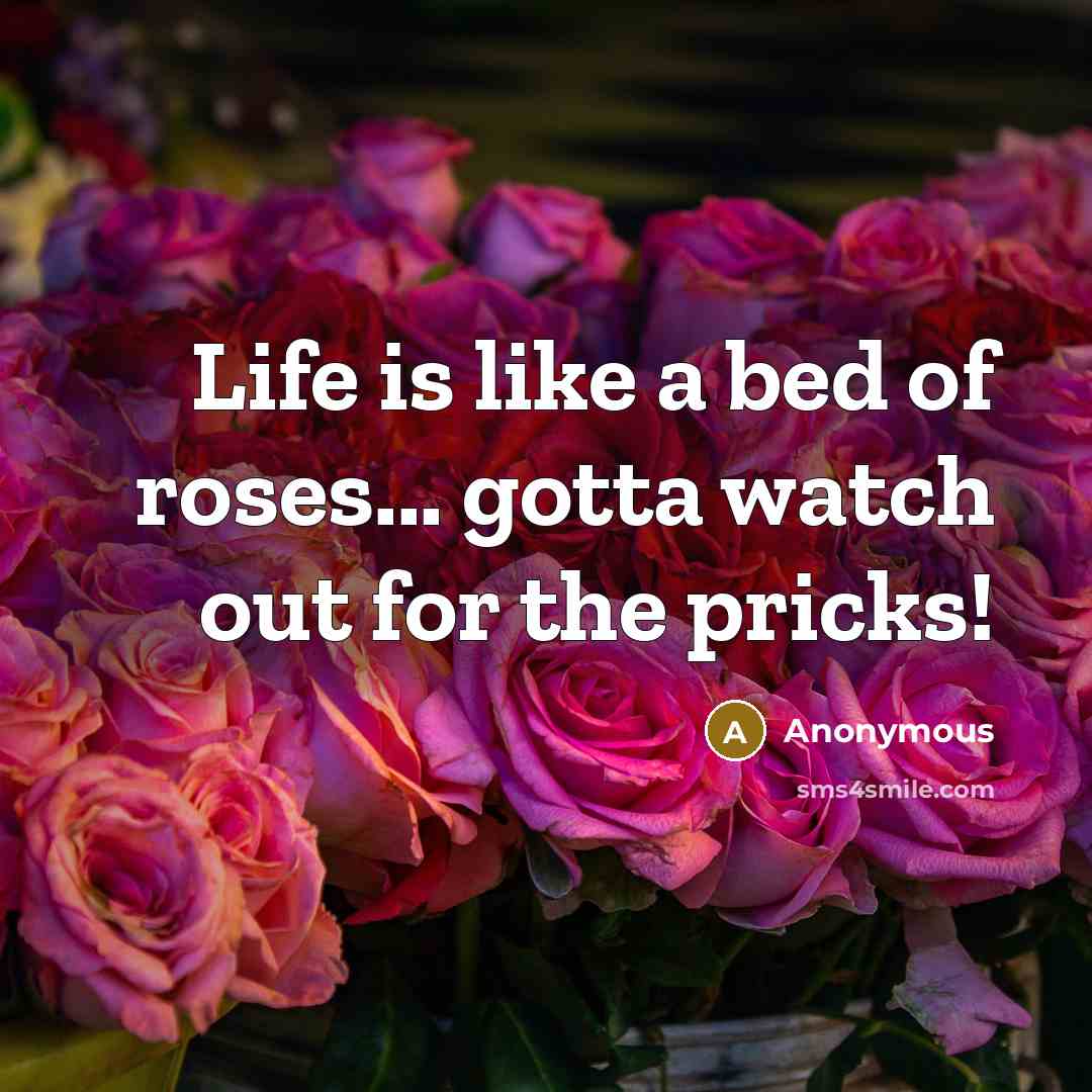 “Life is like a bed of roses... gotta watch out…” quote by Anonymous