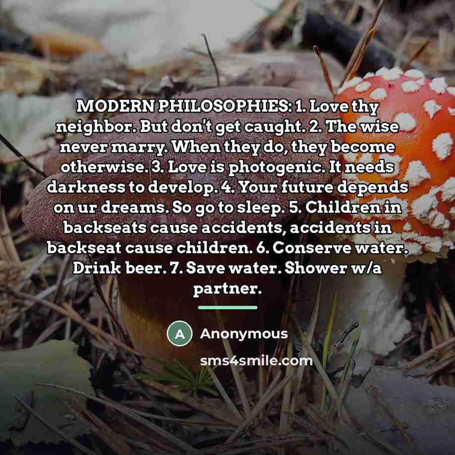 “MODERN PHILOSOPHIES: 1. Love thy neighbor. But don't get caught.…” quote by Anonymous