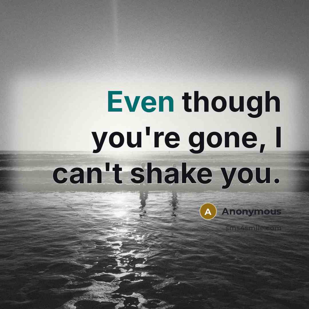 “Even though you're gone, I can't shake you.” quote by Anonymous