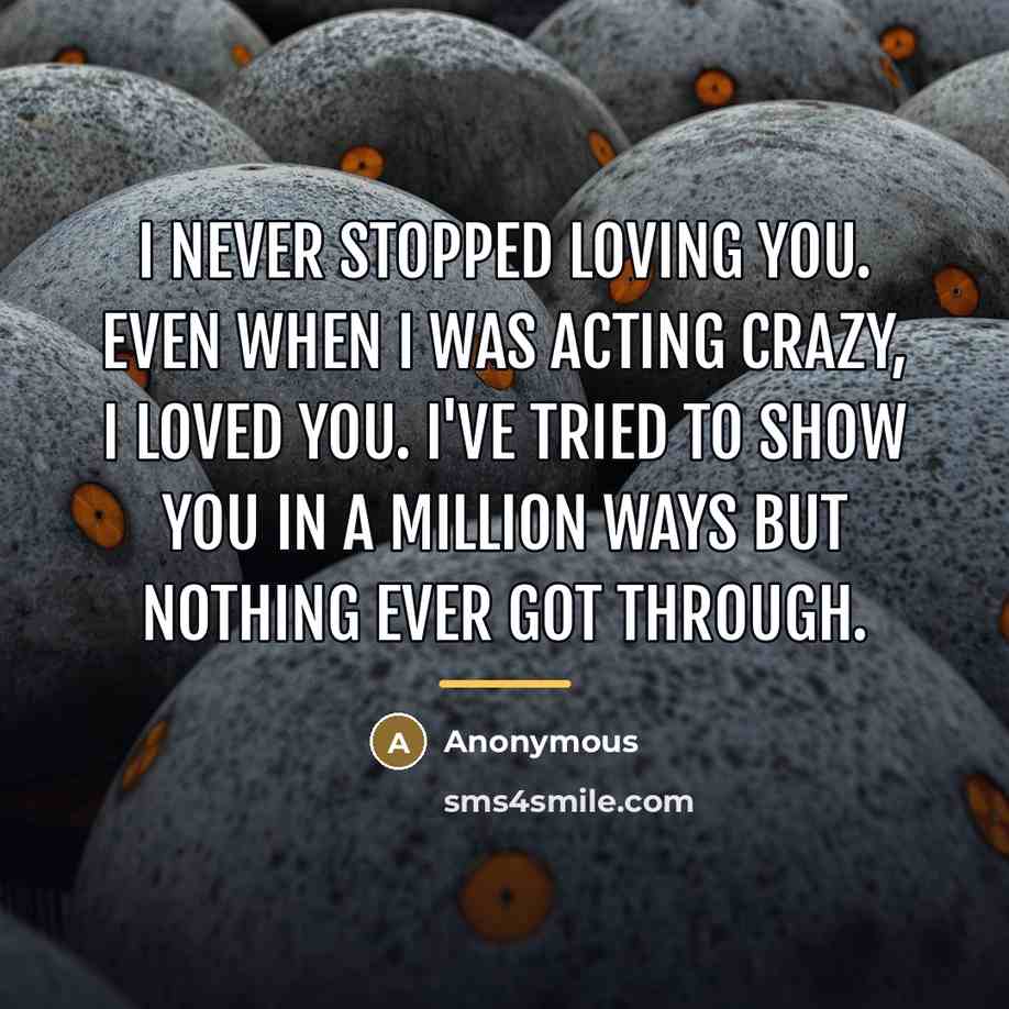 “I never stopped loving you. Even when I was acting…” quote by Anonymous