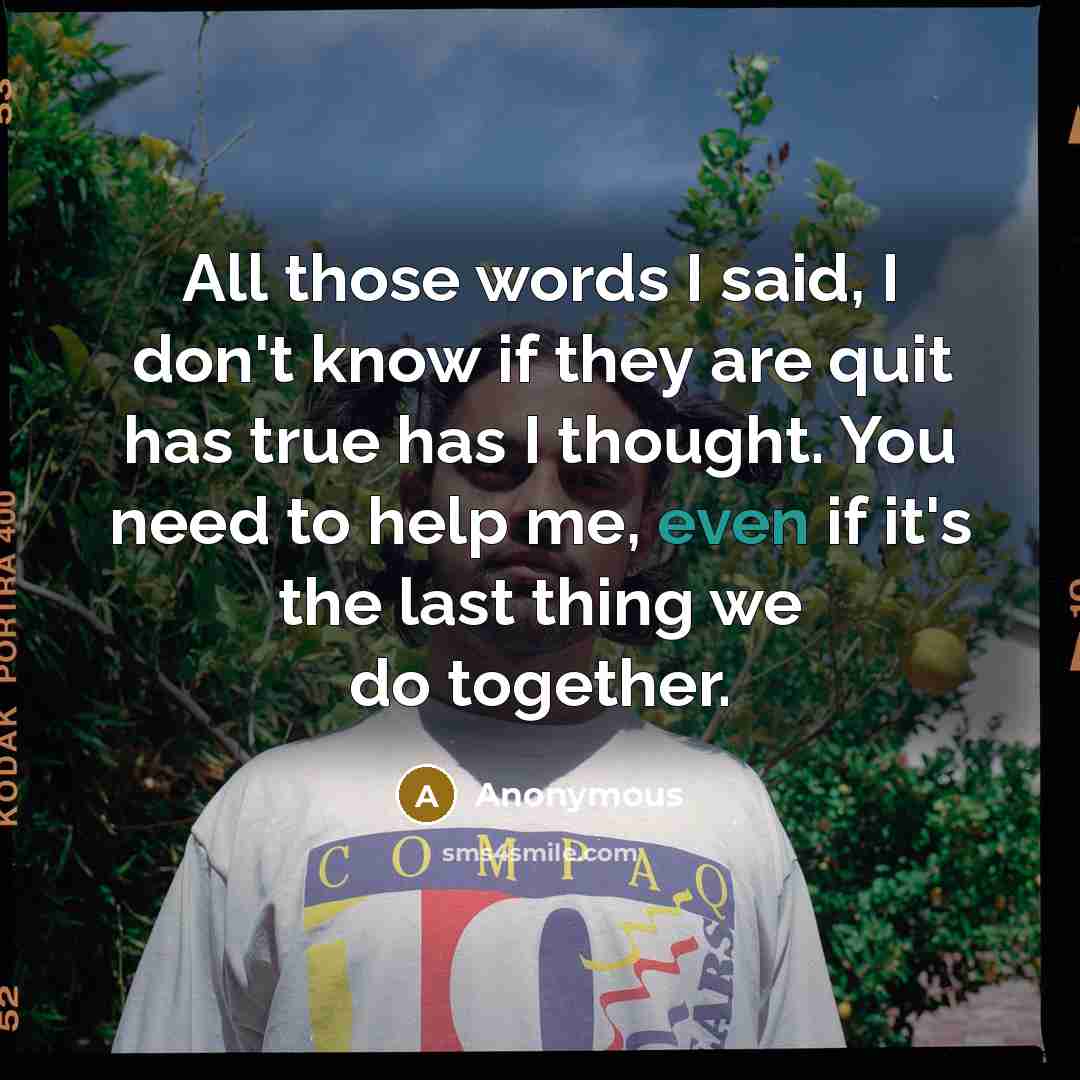 “All those words I said, I don't know if they are quit has true has I thought. You need to help me, even if it's the last thing we do together.” quote by Anonymous