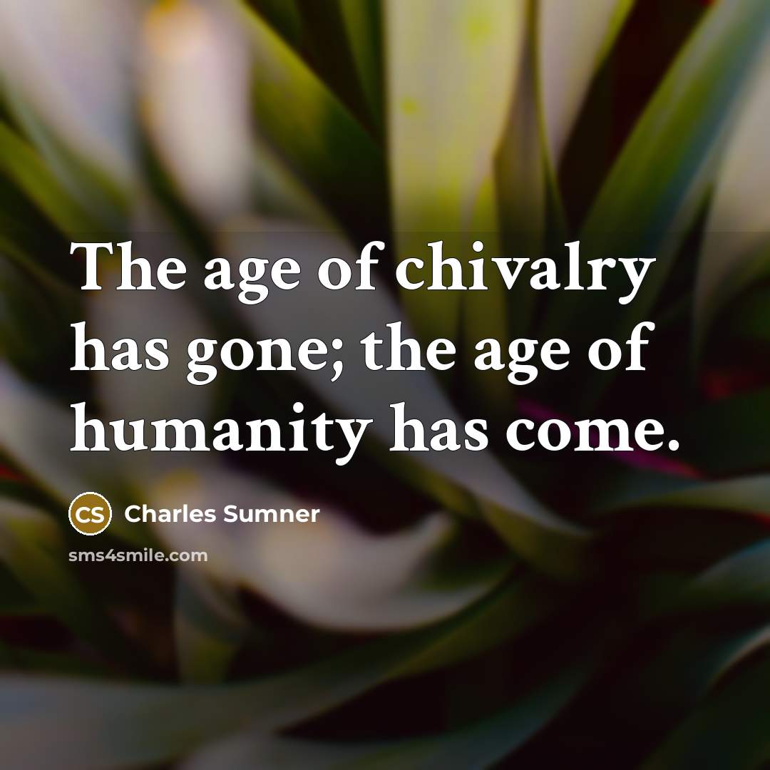 “The age of chivalry has gone; the age of humanity…” quote by Charles Sumner