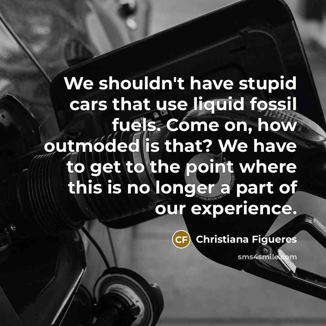 “We shouldn't have stupid cars that use liquid fossil fuels.…” quote by Christiana Figueres