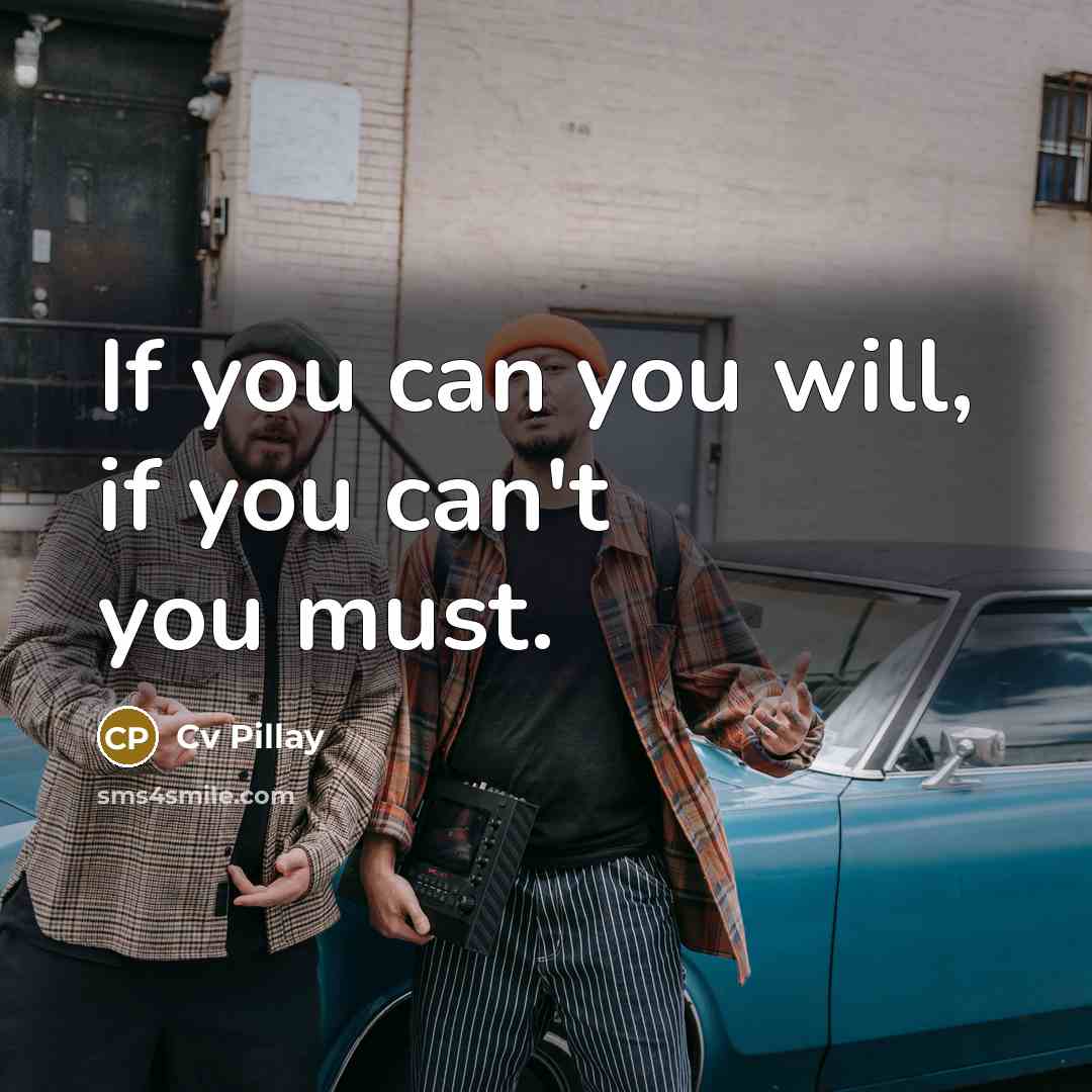 “If you can you will, if you can't you must.…” quote by Cv Pillay