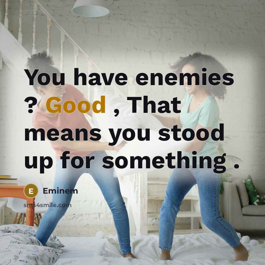 “You have enemies ? Good , That means you stood…” quote by Eminem