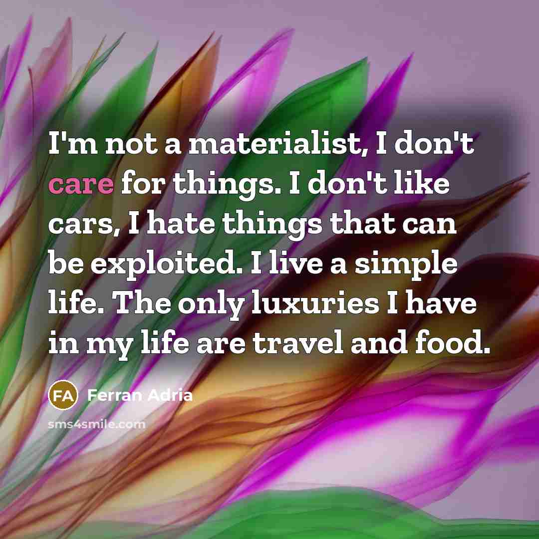 “I'm not a materialist, I don't care for things. I…” quote by Ferran Adria