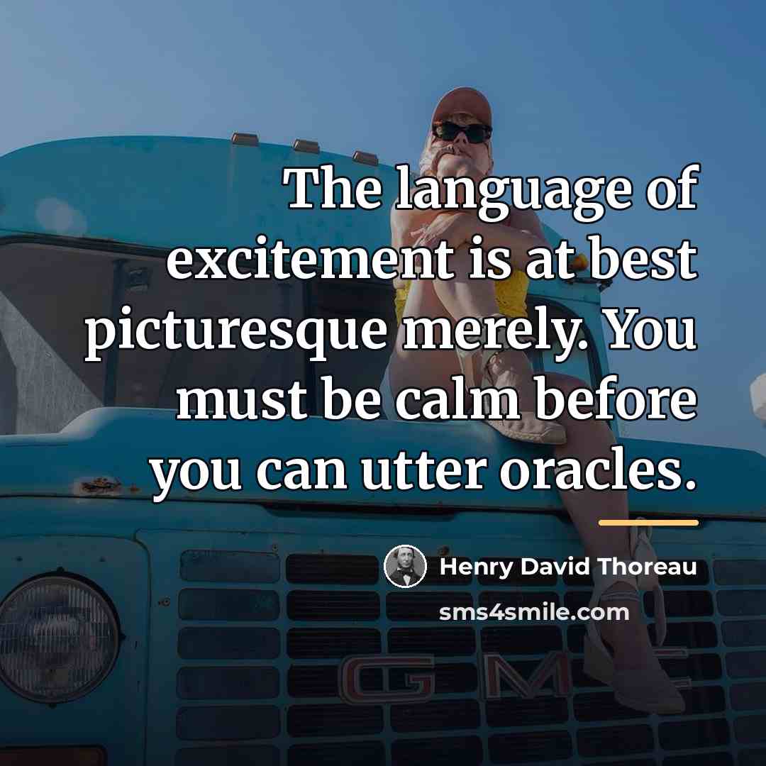 “The language of excitement is at best picturesque merely. You…” quote by Henry David Thoreau