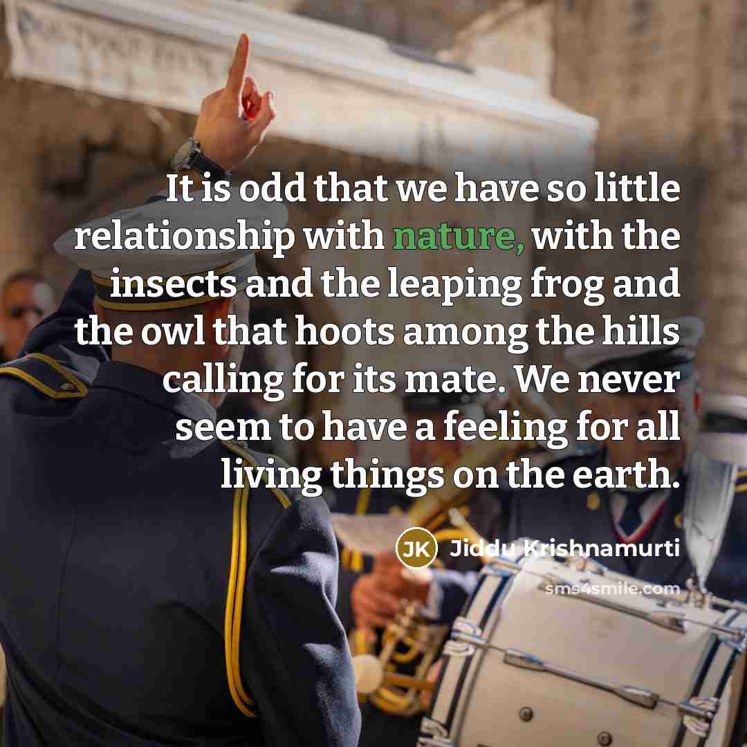 “It is odd that we have so little relationship with…” quote by Jiddu Krishnamurti