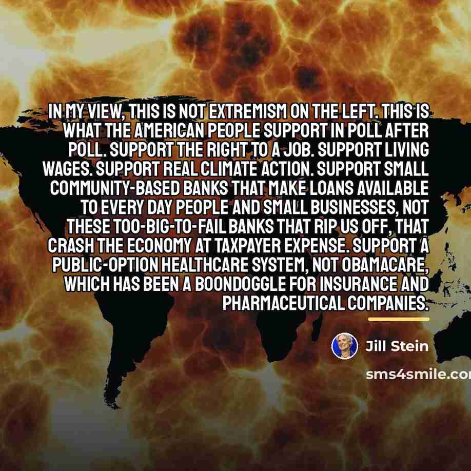 “In my view, this is not extremism on the left.…” quote by Jill Stein