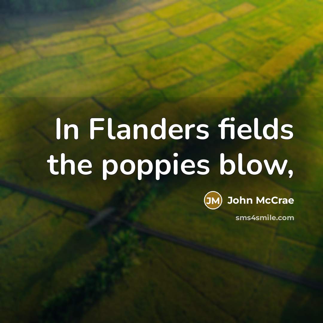 “In Flanders fields the poppies blow,…” quote by John McCrae