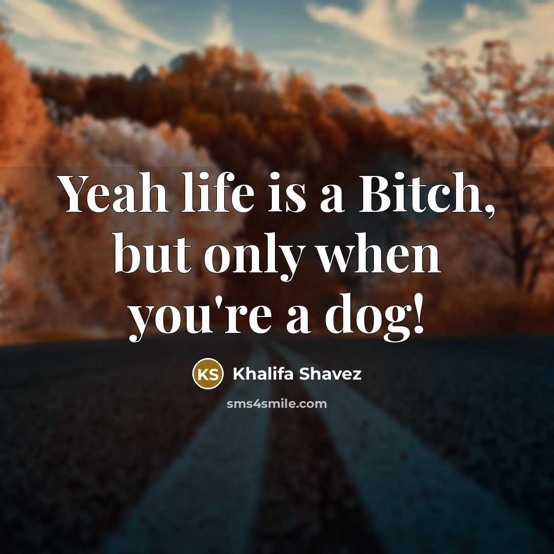 “Yeah life is a Bitch, but only when you're a…” quote by Khalifa Shavez