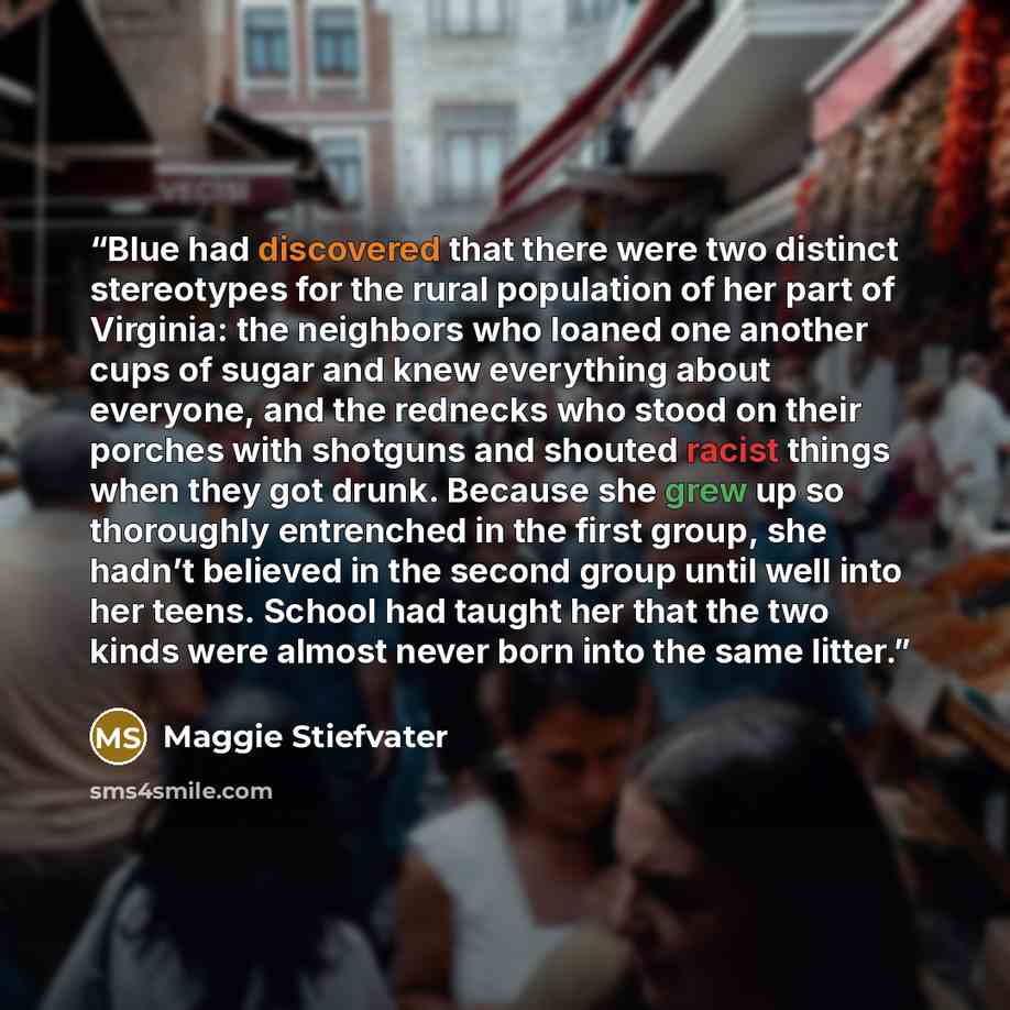 “Blue had discovered that there were two distinct stereotypes for the rural population of her part of Virginia: the neighbors who loaned one another cups of sugar and knew everything about everyone, and the rednecks who stood on their porches with shotguns and shouted racist things when they got…” quote by Maggie Stiefvater