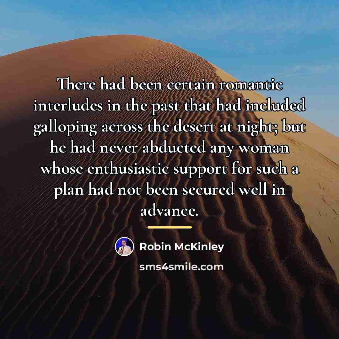 “There had been certain romantic interludes in the past that…” quote by Robin McKinley