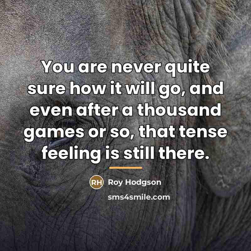 “You are never quite sure how it will go, and…” quote by Roy Hodgson