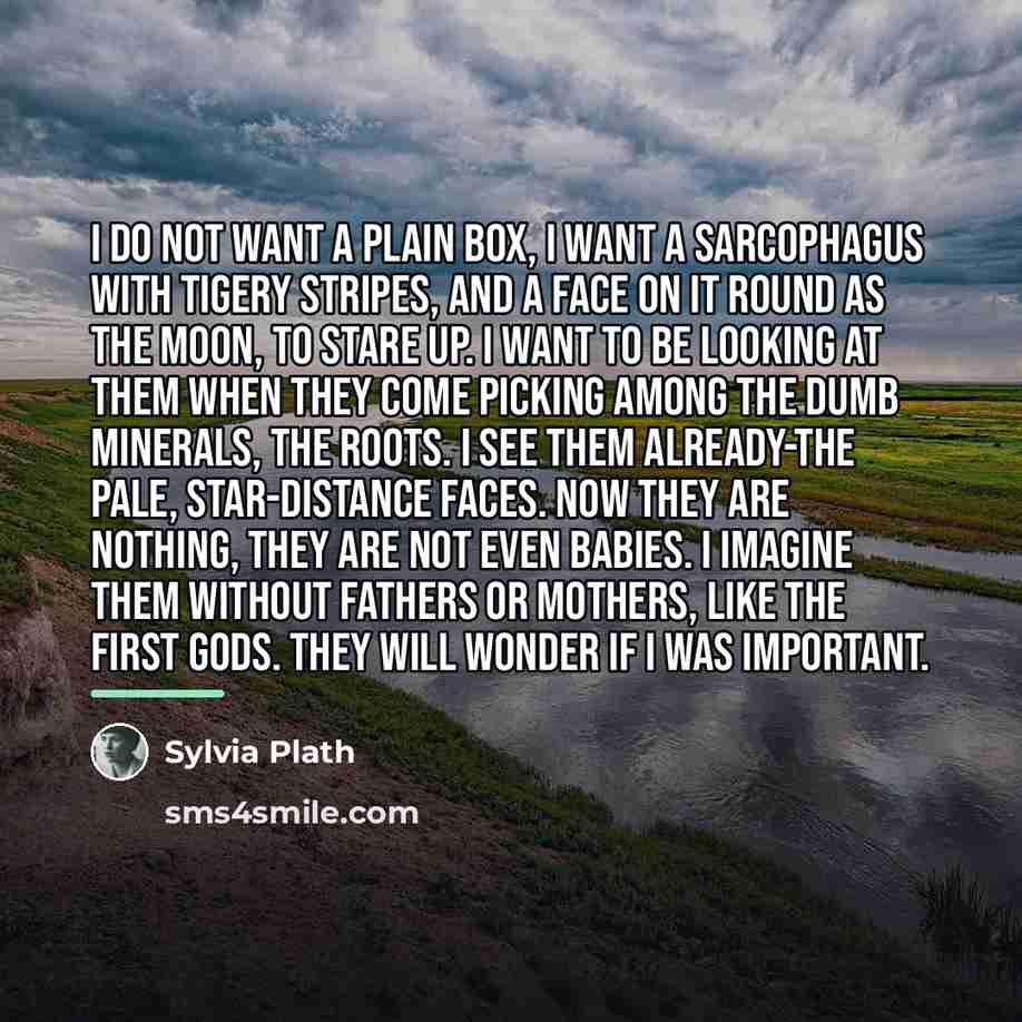 “I do not want a plain box, I want a…” quote by Sylvia Plath