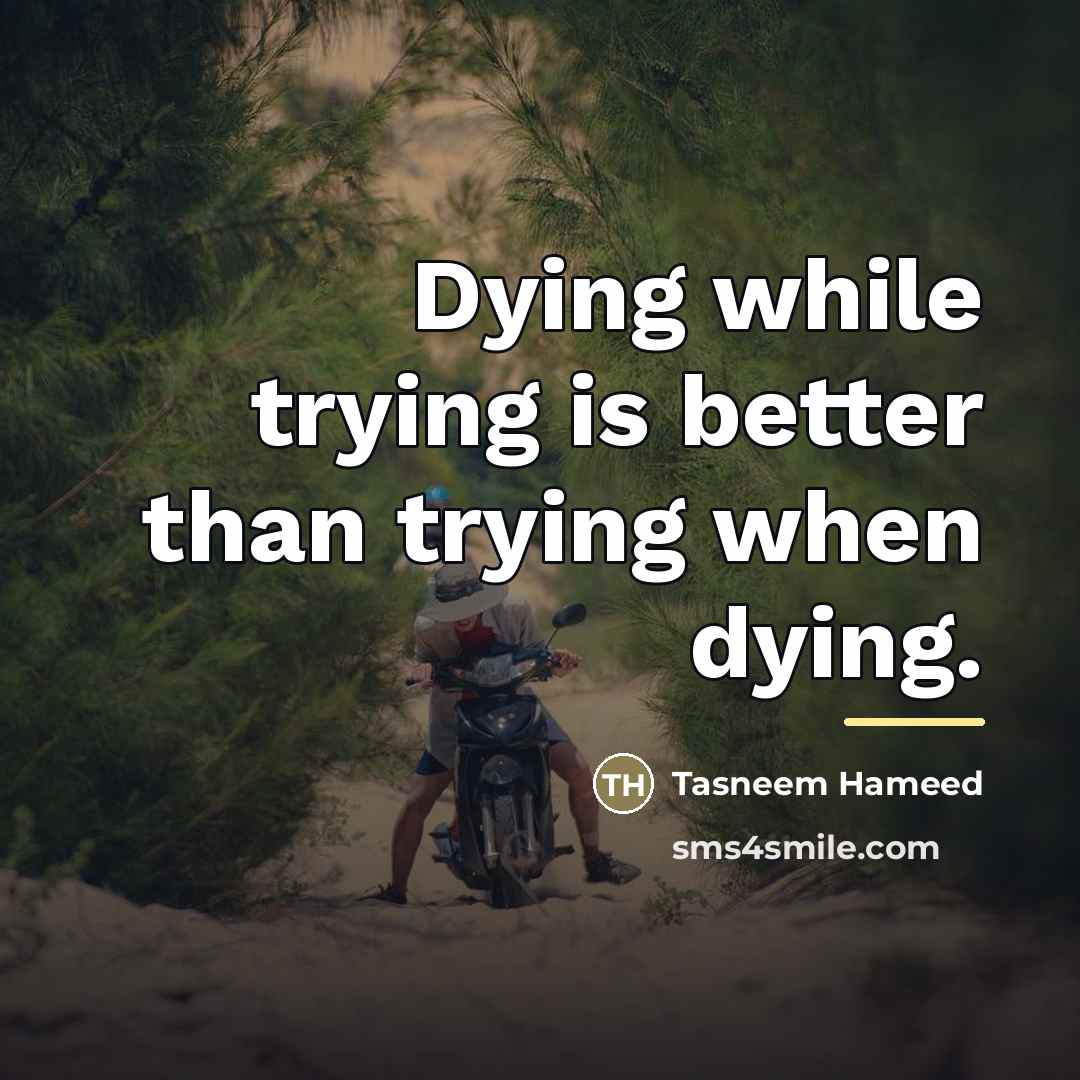 “Dying while trying is better than trying when dying.…” quote by Tasneem Hameed