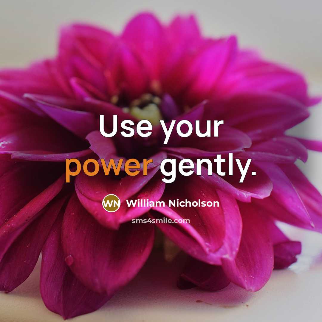 “Use your power gently.” quote by William Nicholson