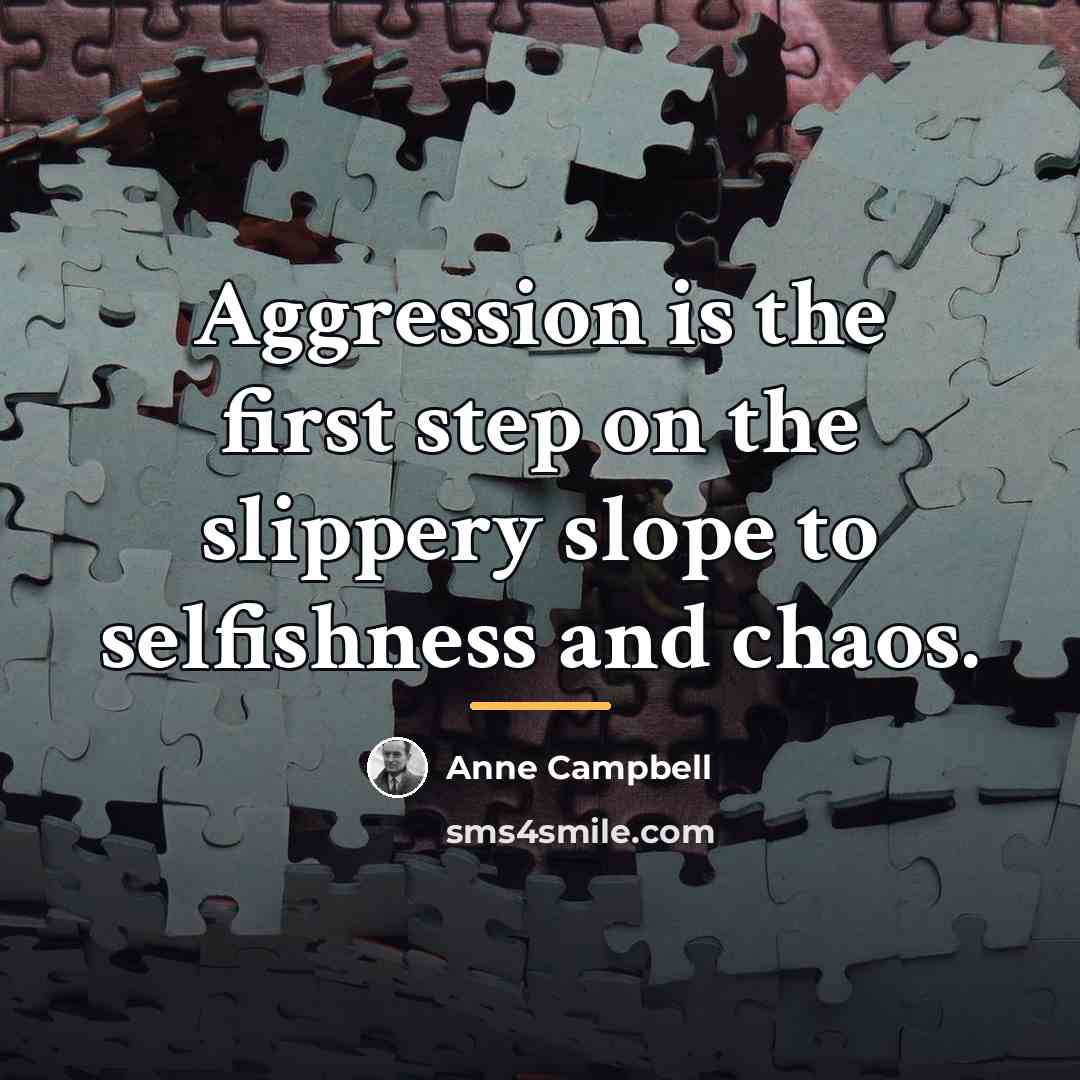 “Aggression is the first step on the slippery slope to…” quote by Anne Campbell