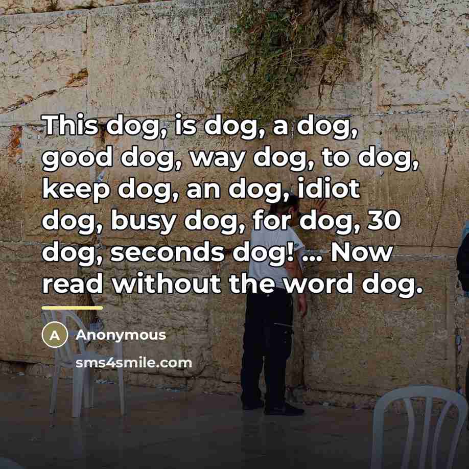 “This dog, is dog, a dog, good dog, way dog,…” quote by Anonymous